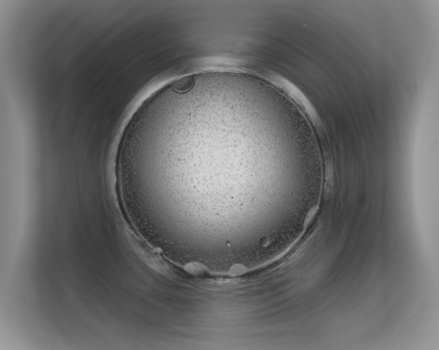 X0000113531435200909250857