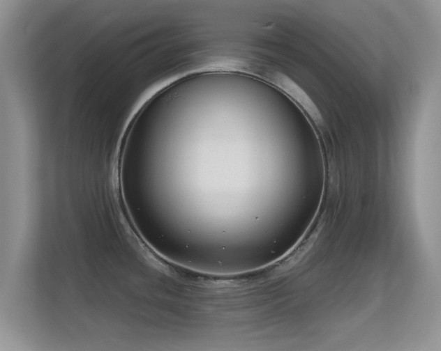 X0000113531436200909250857