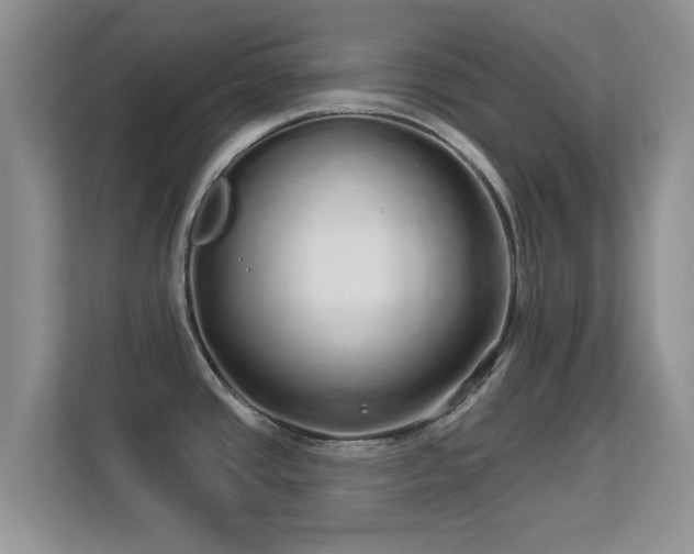 X0000113531437200909250857