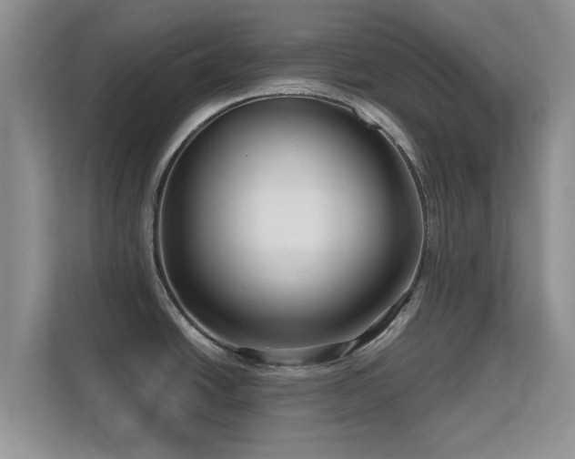 X0000113531438200909250857