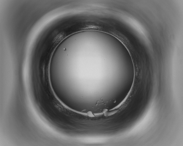 X0000113531439200909250857