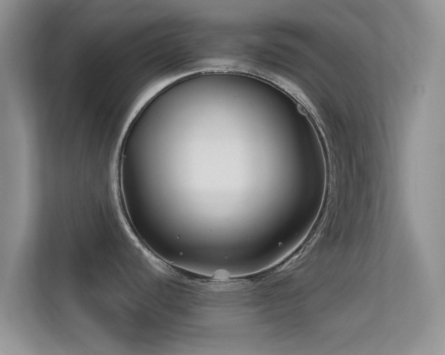 X0000113531440200909250857