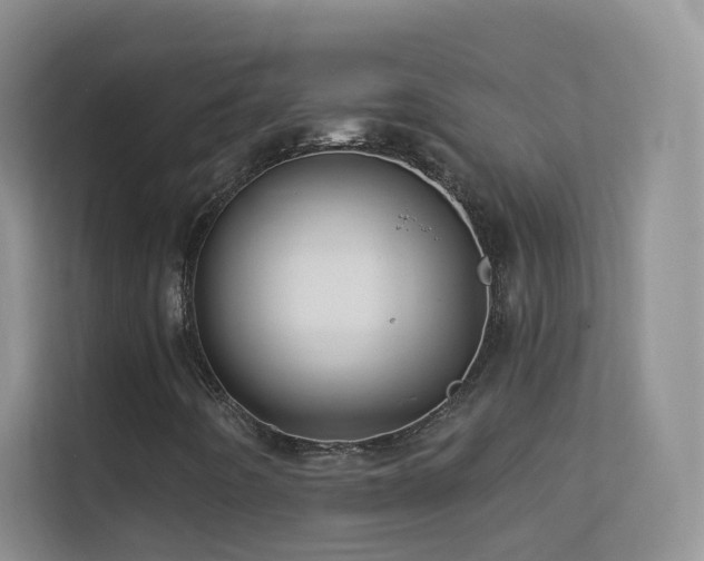 X0000113531442200909250856