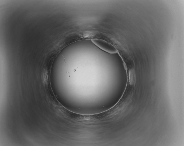 X0000113531443200909250856