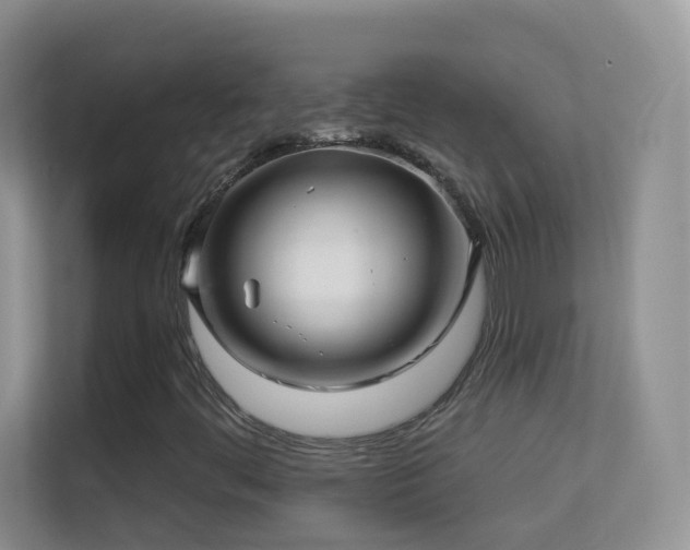 X0000113531444200909250856