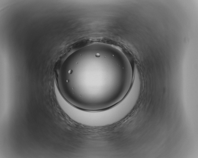 X0000113531445200909250856