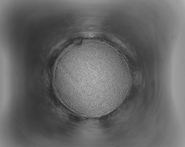X0000113531446200909250856
