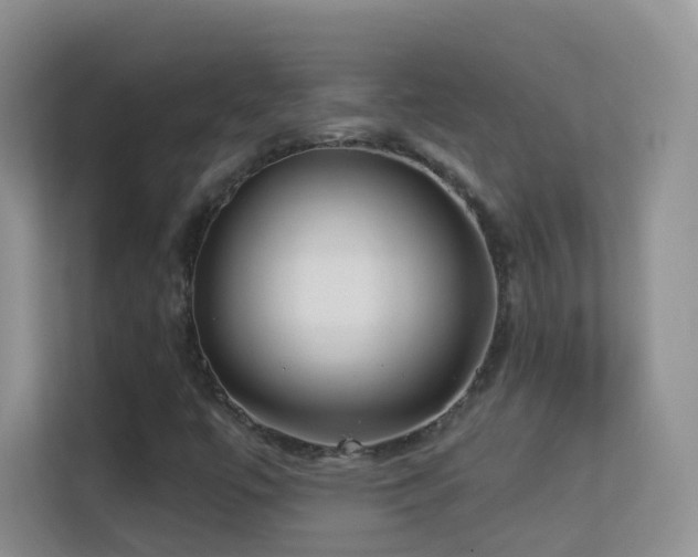 X0000113531447200909250856