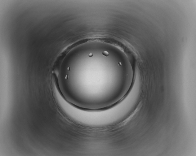 X0000113531449200909250856