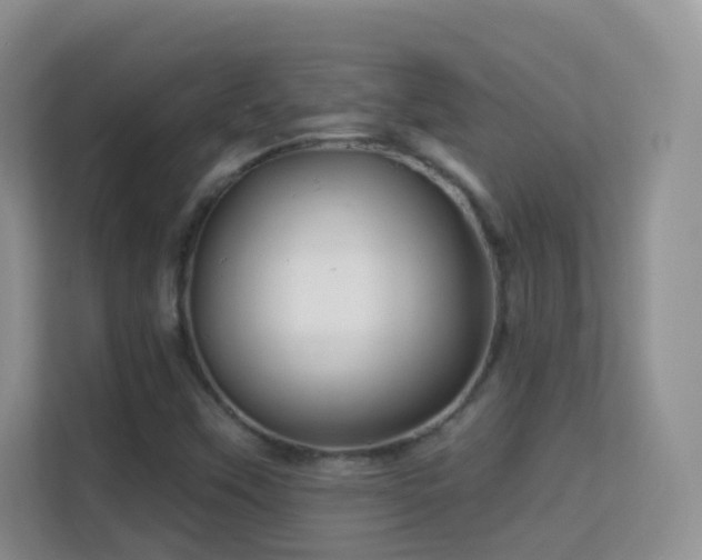 X0000113531451200909250856