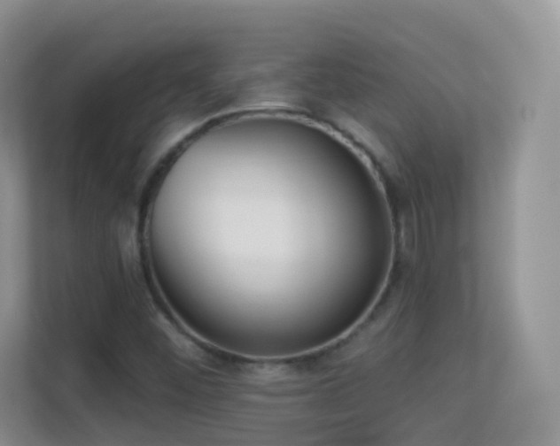 X0000113531452200909250856