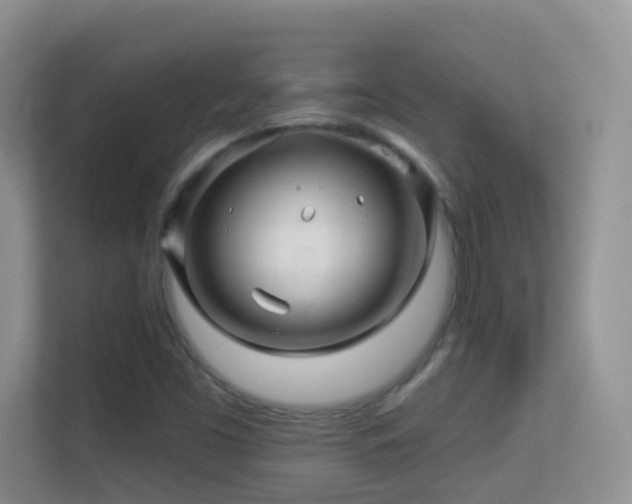 X0000113531453200909250856