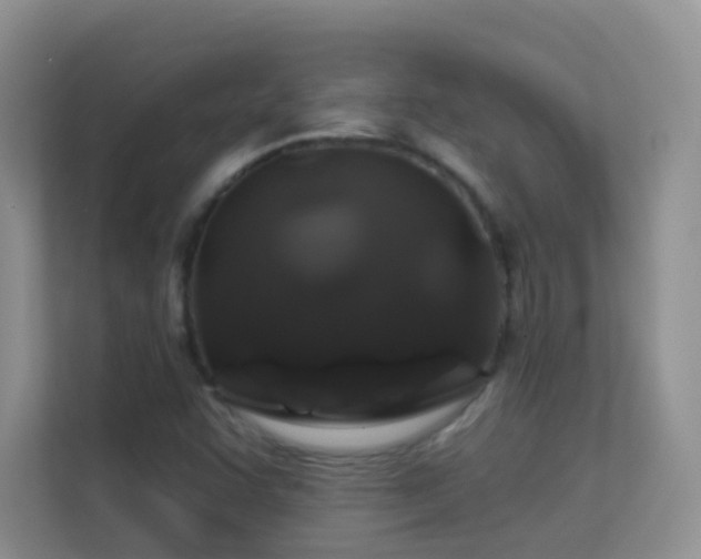 X0000113531455200909250856