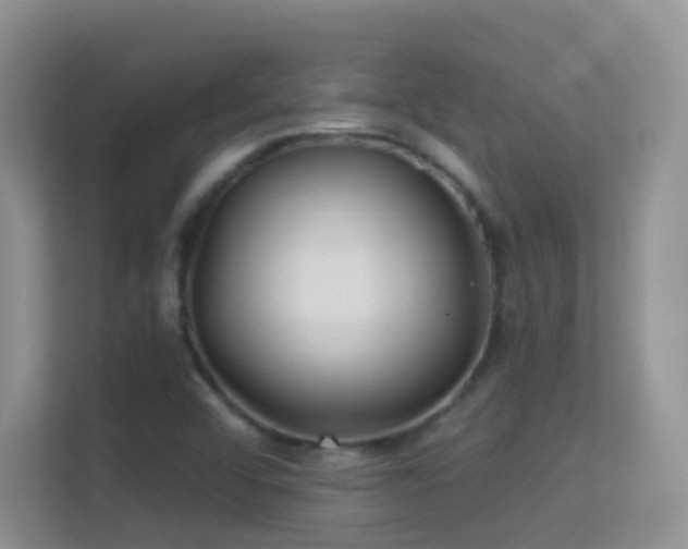 X0000113531456200909250856