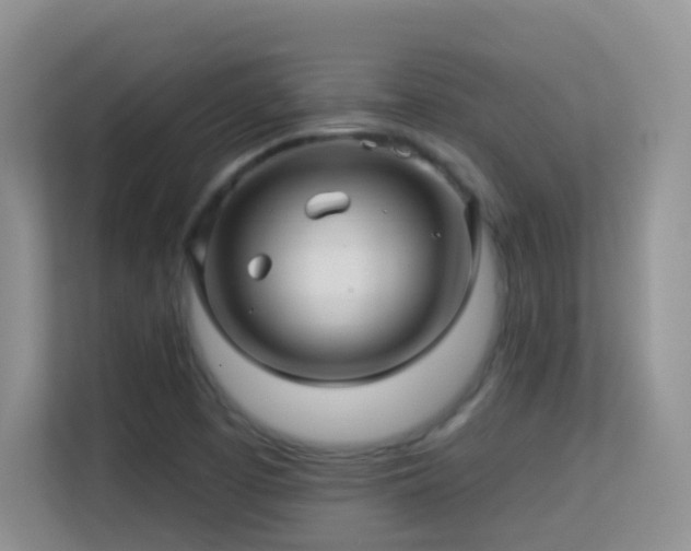 X0000113531457200909250856