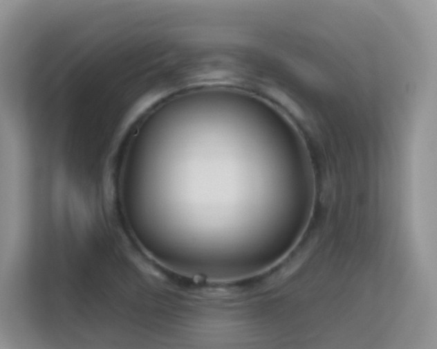 X0000113531458200909250856