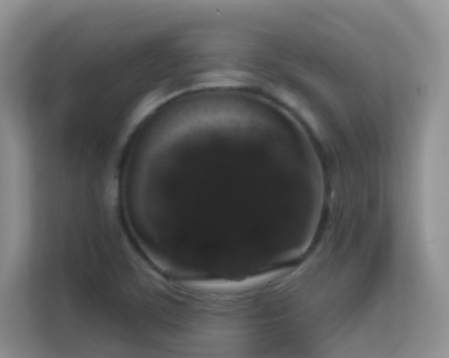 X0000113531459200909250856