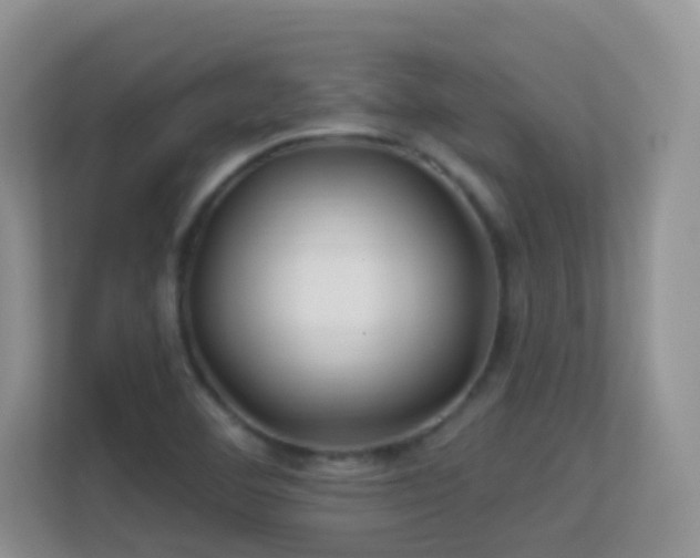 X0000113531460200909250856