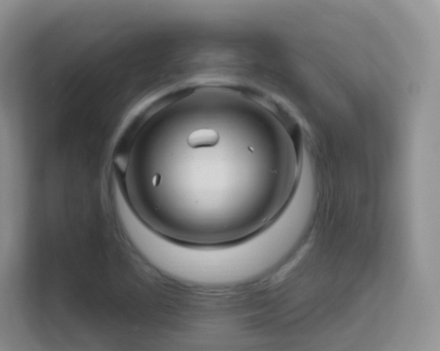 X0000113531461200909250856