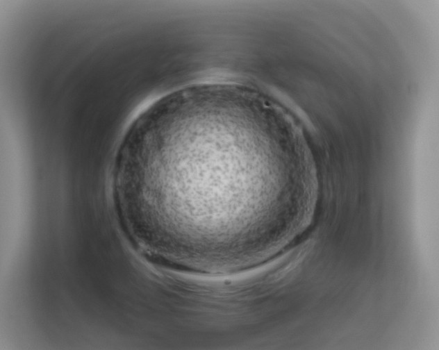 X0000113531463200909250856