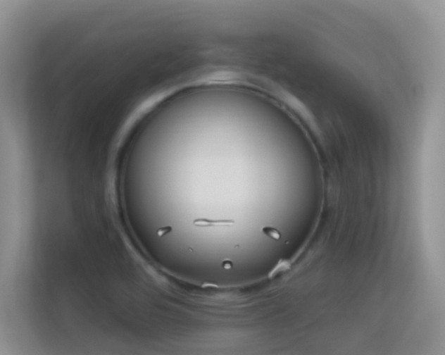 X0000113531464200909250856