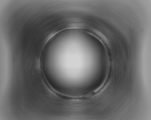 X0000113531465200909250856