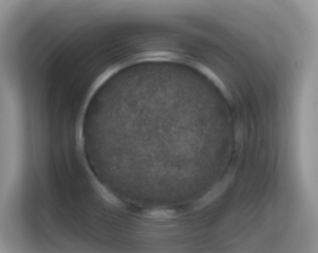 X0000113531466200909250856
