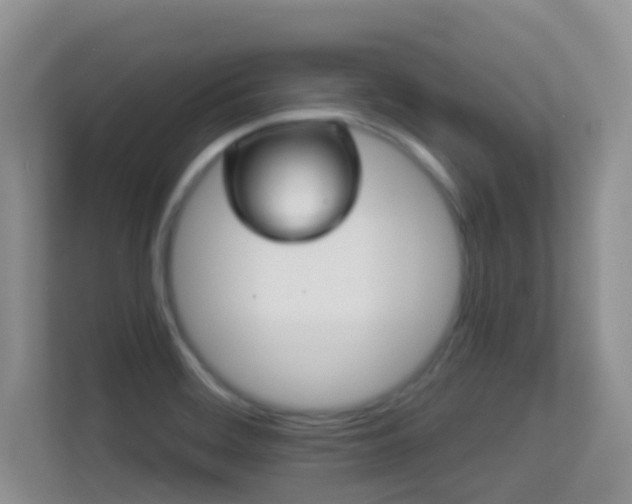 X0000113531468200909250856
