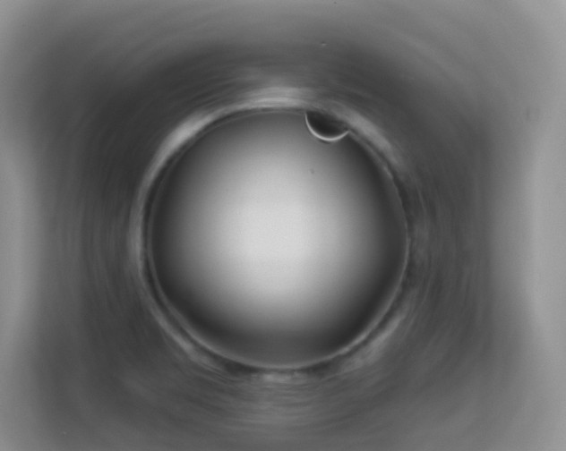 X0000113531469200909250856