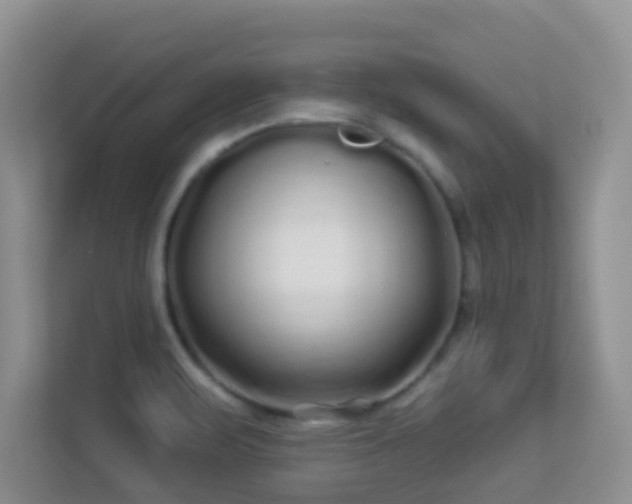 X0000113531471200909250856