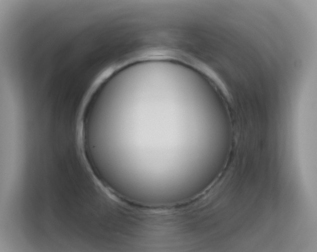 X0000113531472200909250856
