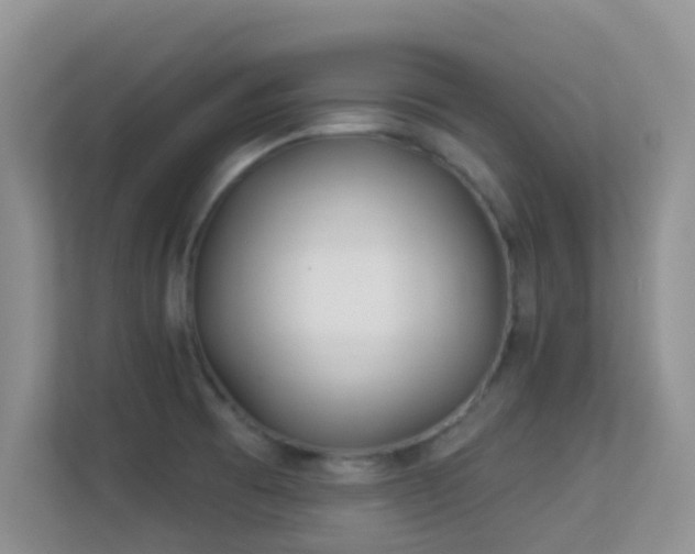X0000113531473200909250856