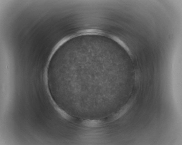 X0000113531474200909250856