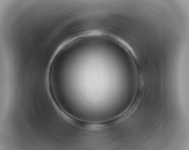 X0000113531475200909250856