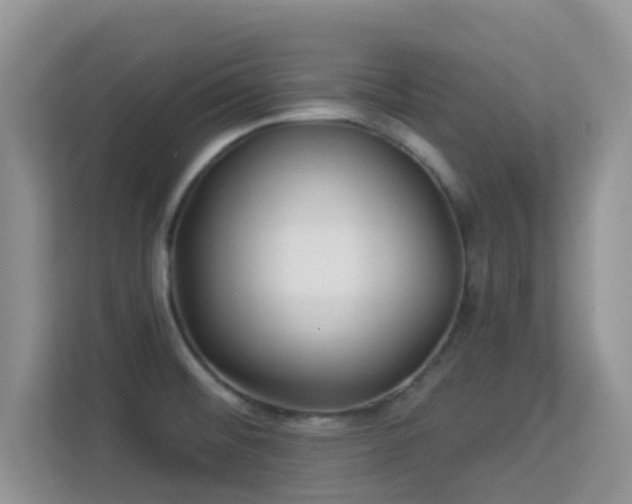 X0000113531476200909250856