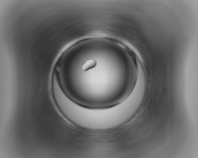X0000113531477200909250856