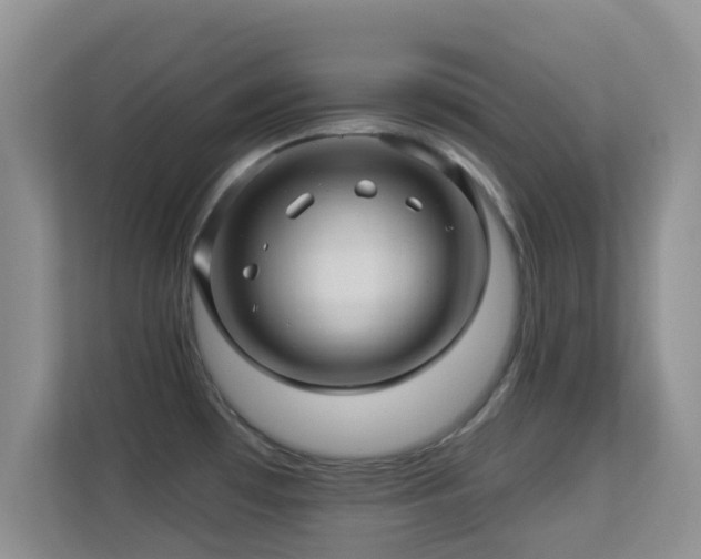 X0000113531481200909250856