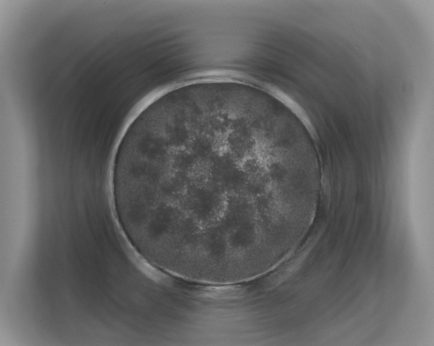 X0000113531482200909250856