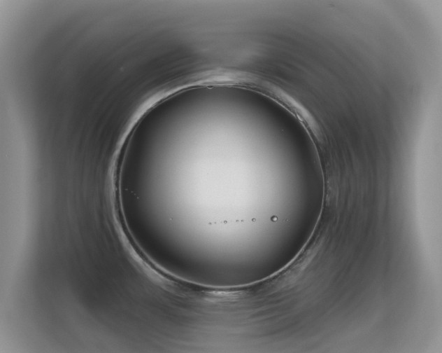 X0000113531483200909250856