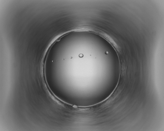 X0000113531484200909250856