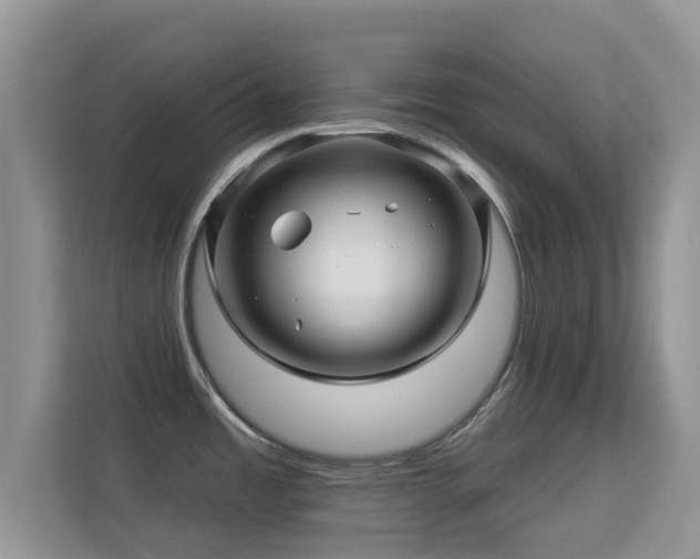 X0000113531485200909250856