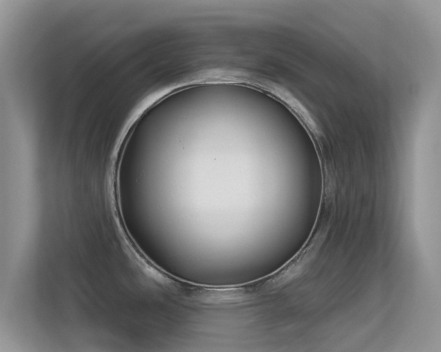 X0000113531486200909250856