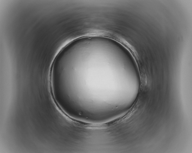 X0000113531487200909250856