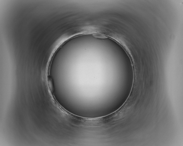 X0000113531488200909250856