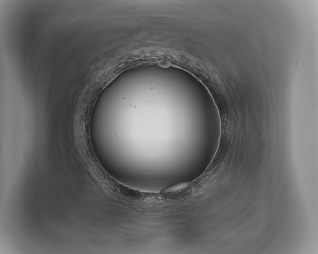 X0000113531489200909250855