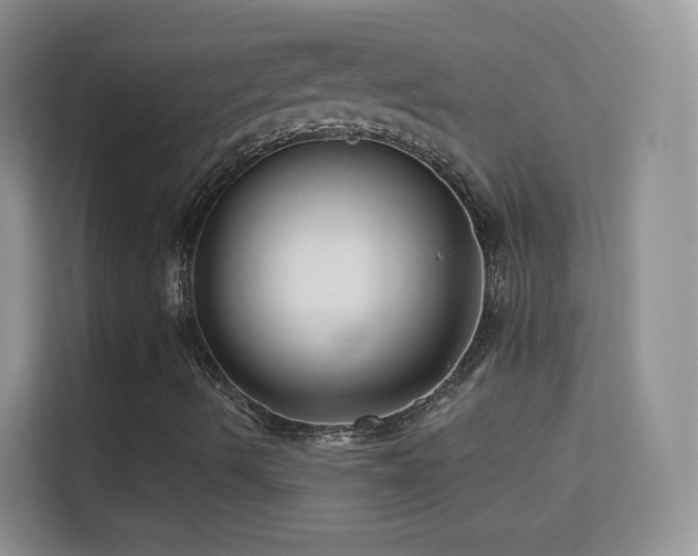 X0000113531490200909250855