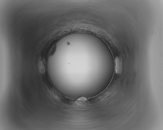 X0000113531491200909250855