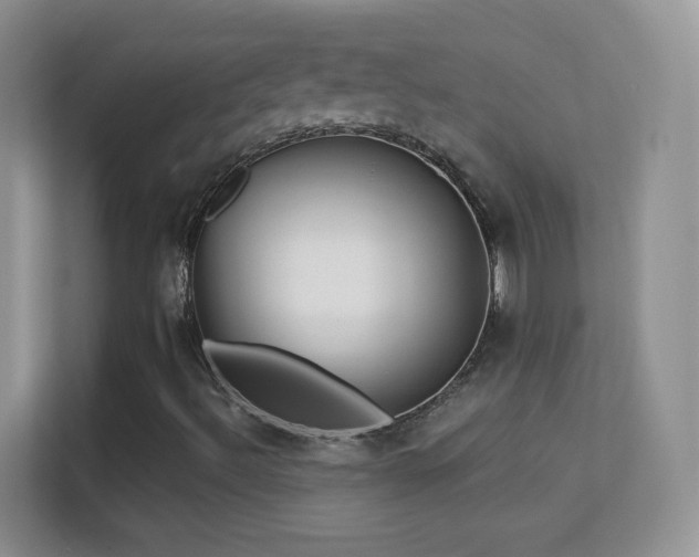 X0000113531492200909250855