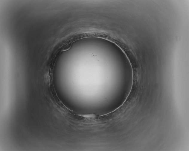 X0000113531493200909250855