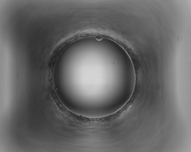 X0000113531494200909250855